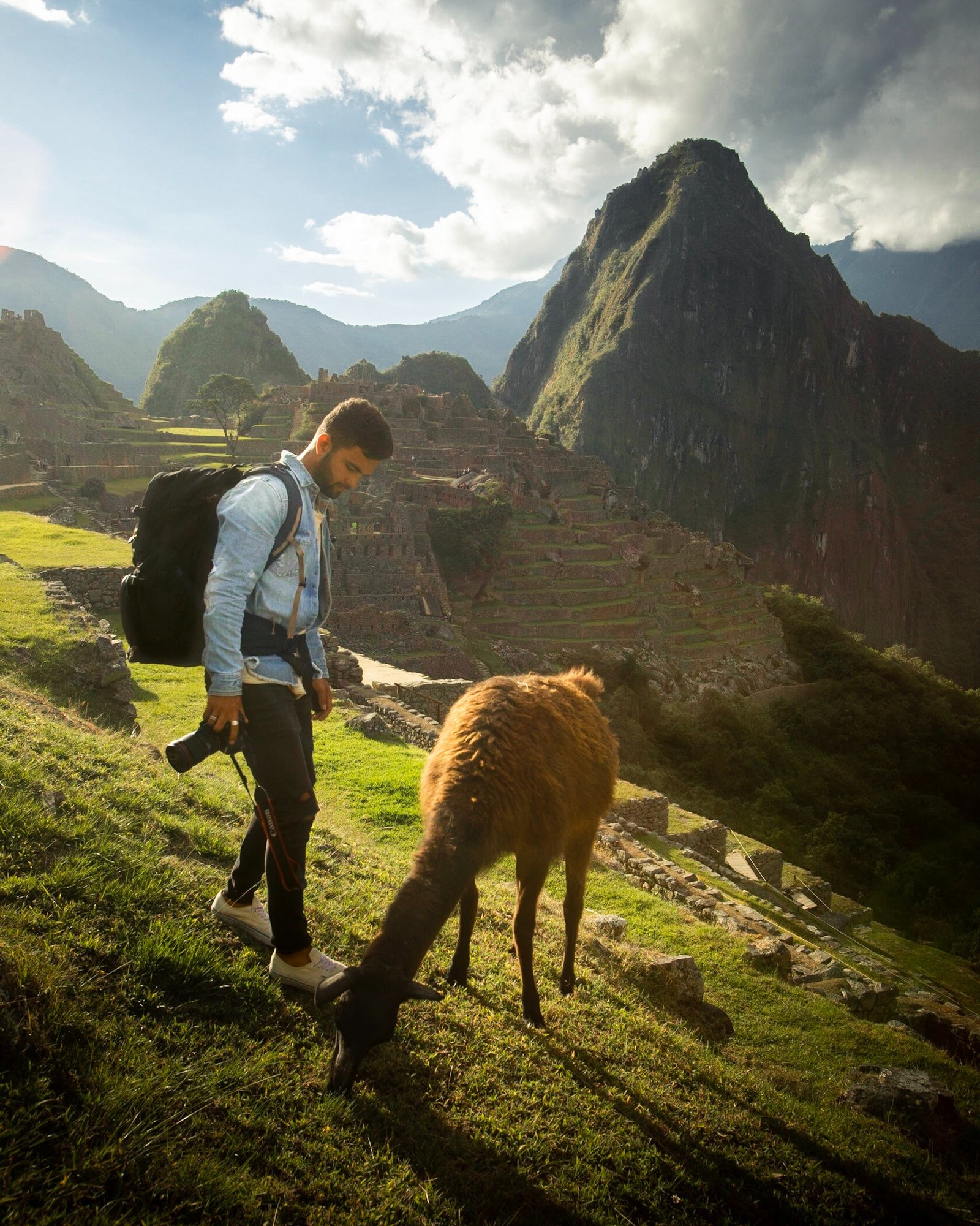 Essential Travel Tips for Peru: What You Need to Know Before You Go. 1 camara llama