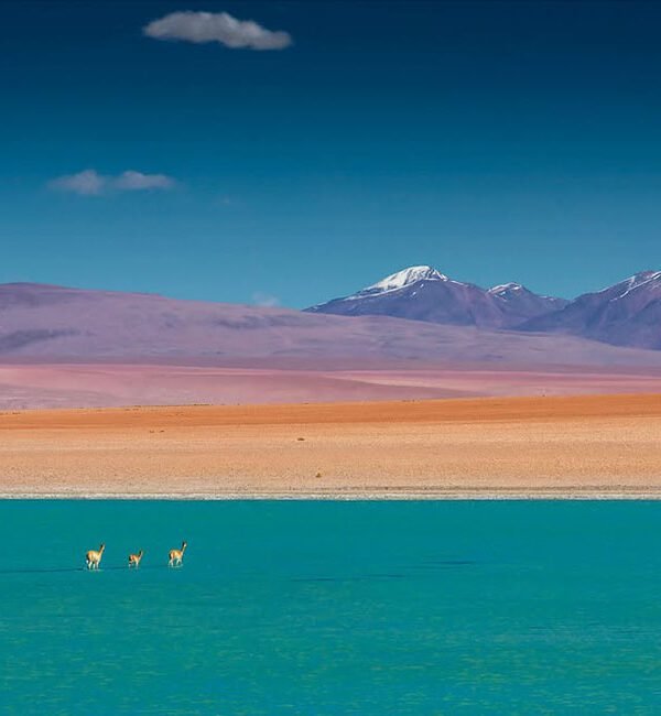 uyuni37