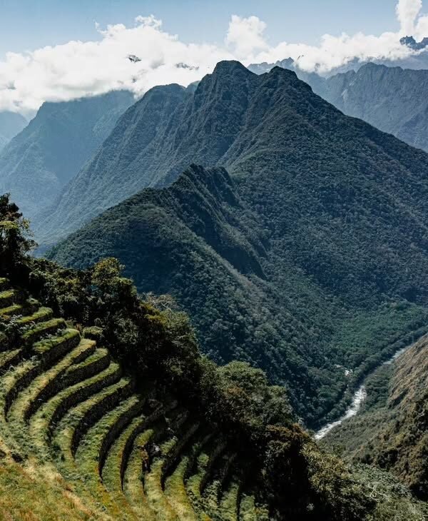 458507885 1169074874548712 2744364252115377093 n