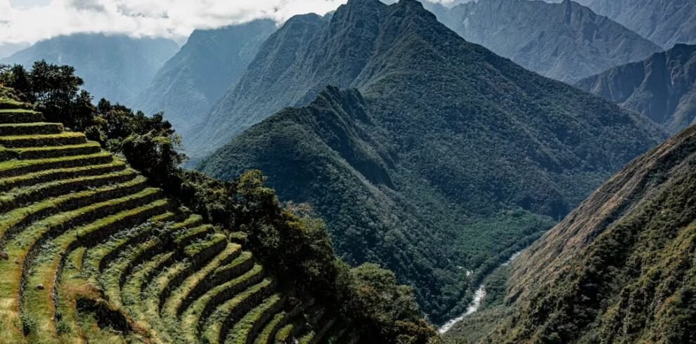 458507885 1169074874548712 2744364252115377093 n