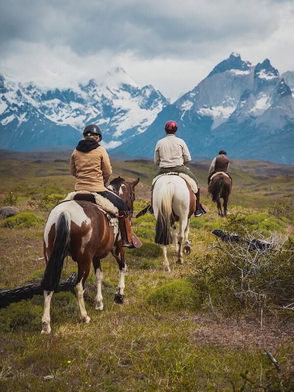 Chile 15 Patagonia carrusel 06