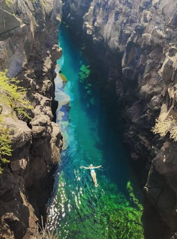 Ecuador 12 galapagos 15