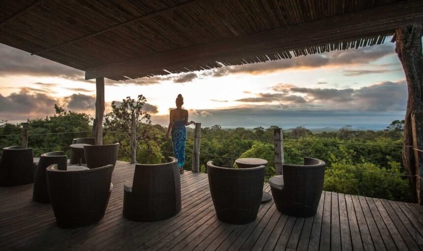 Discover a Continent of Infinite Wonders 26 Discover a Continent of Infinite Wonders