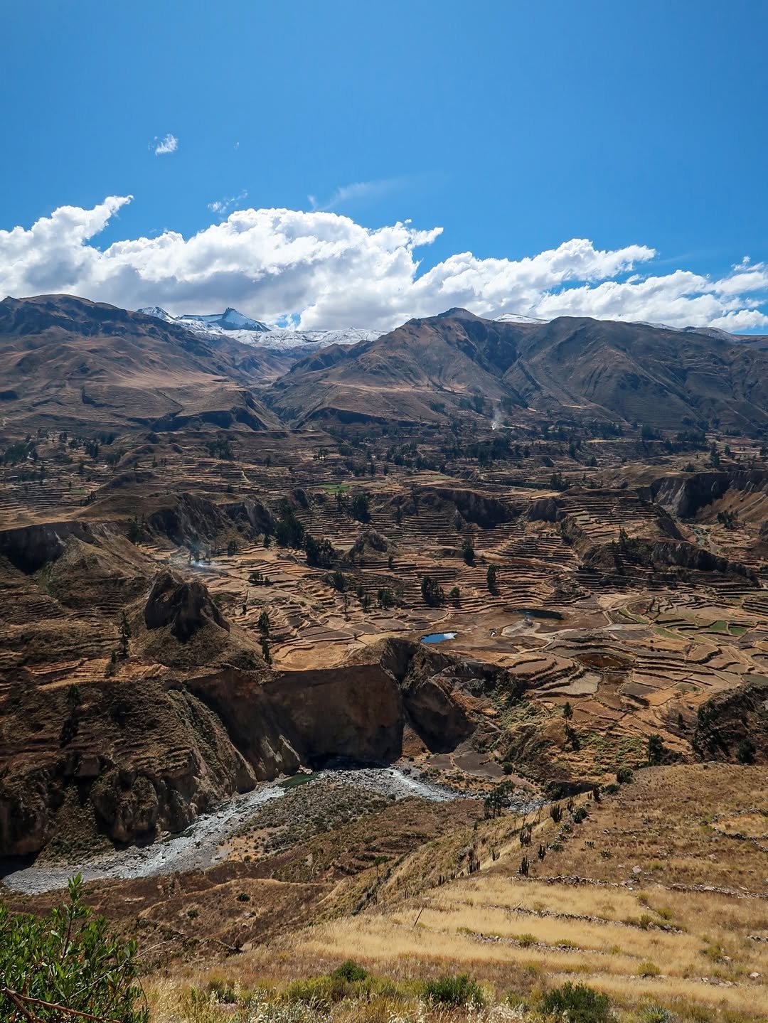 Why You Need to Visit Arequipa 4 why arequipa is a must