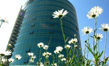 suites camino real 08