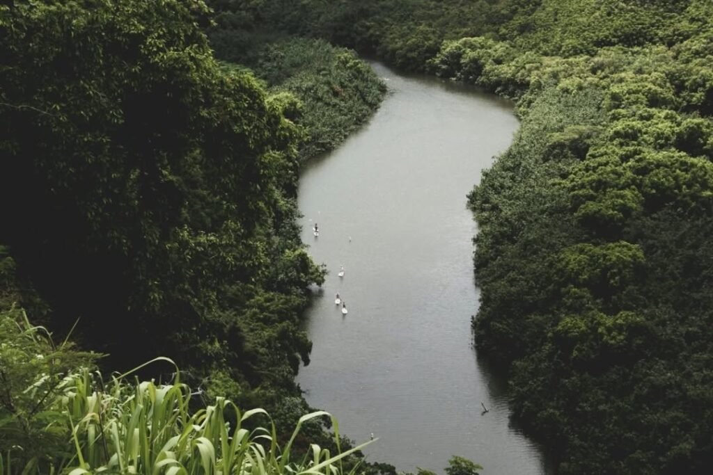 WHERE DOES THE WORD AMAZON COME FROMThe name is older than the rainforest itself in human memo