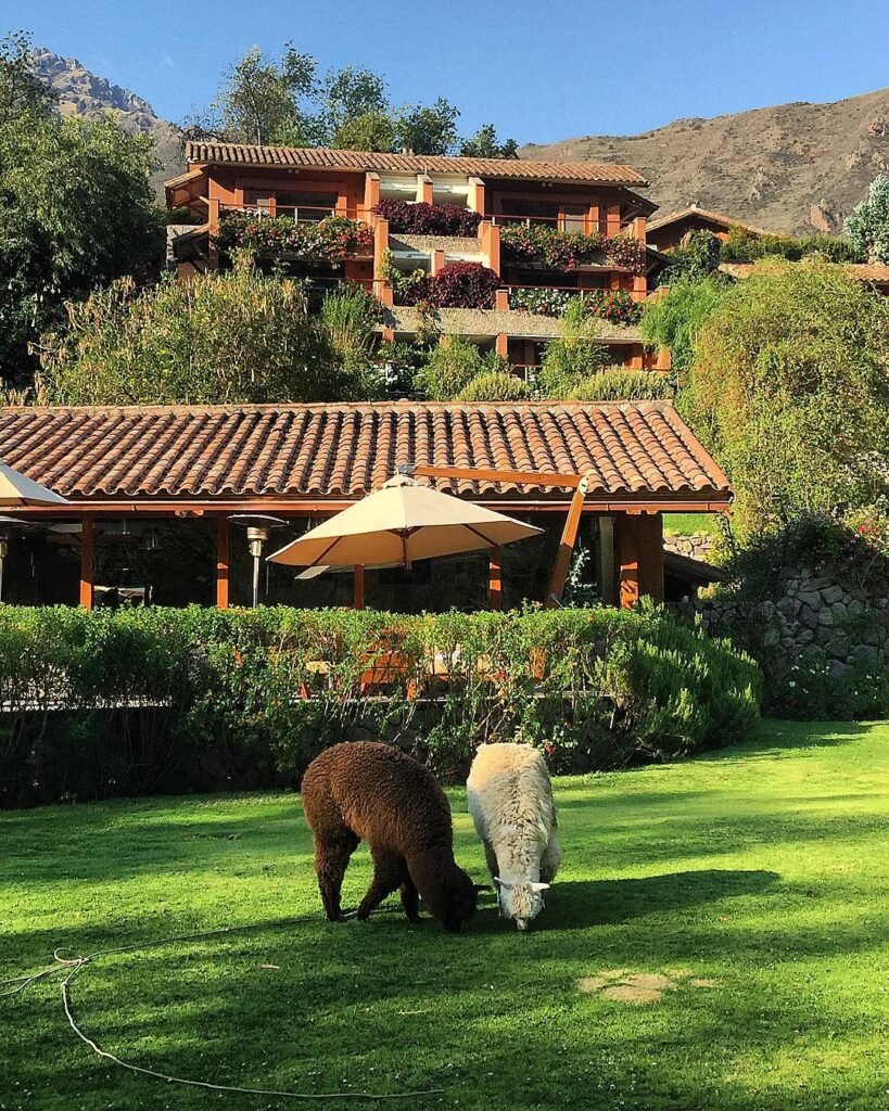 el huerto belmond restaurant