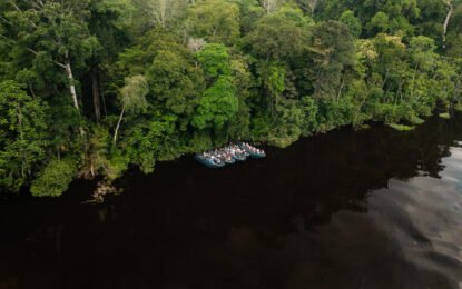When Is the Best Time to Take an Amazon River Cruise?