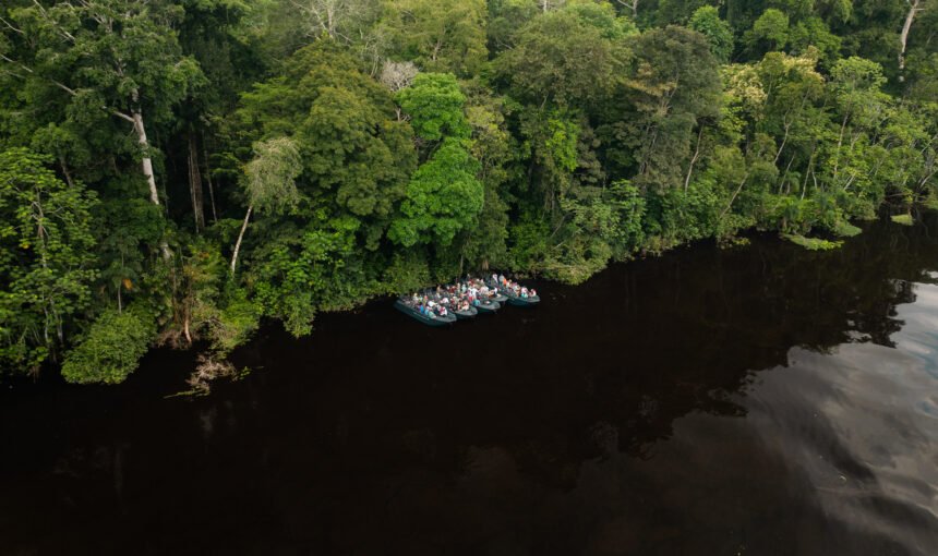 When Is the Best Time to Take an Amazon River Cruise? 6 When Is the Best Time to Take an Amazon River Cruise?