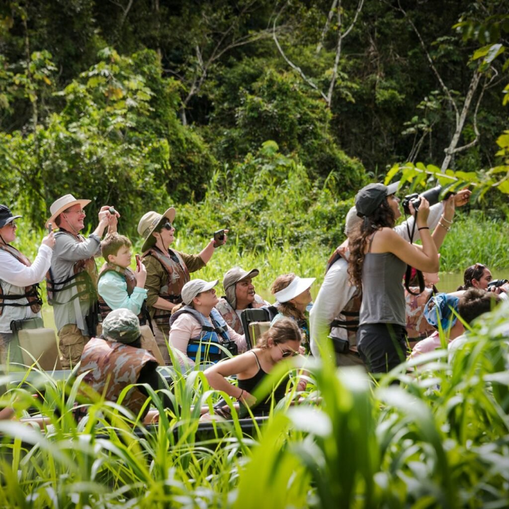 During our boat tours you will have the opportunity to discover all the tributaries of the Peru